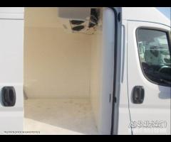 Ducato frigo anno 2019 atp frc 2025 - 11