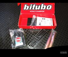 KIT MOLLE FORCELLA BITUBO PER HONDA HORNET 600