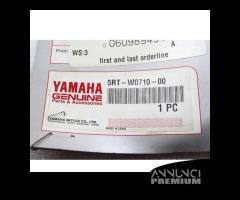 CUPOLINO PARABREZZA YAMAHA FZS 600 FAZER 2002 2003