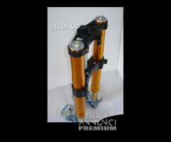 Suzuki avantreno special forcelle ohlins nix