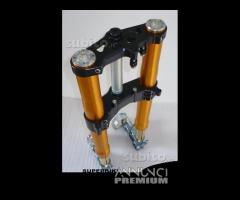 Suzuki avantreno special forcelle ohlins nix