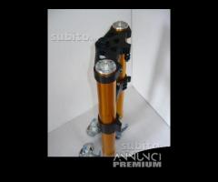 Suzuki avantreno special forcelle ohlins nix