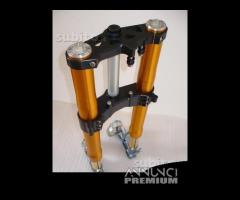 Suzuki avantreno special forcelle ohlins nix