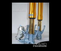 Suzuki avantreno special forcelle ohlins nix - 8