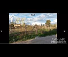 Terreno agricolo 1000 mq a Giugliano in Campania