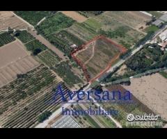 Terreno agricolo di 8950 mq con fronte starda