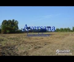 Terreno agricolo di 8950 mq con fronte starda