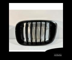 BMW X3 G01/X4 G02 Griglia Rene Sinistra-14951