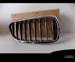 BMW 5 G30 / G31 Rene / Griglia destra - 3833