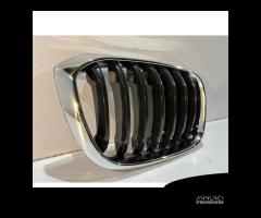 BMW X3 G01 / X4 G02 Griglia / Destra 14600