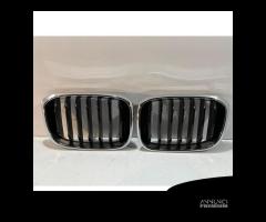 BMW X3 G01 / X4 G02 Griglia / Sinistra 14605