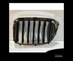 BMW X3 G01 / X4 G02 Grill / Destra 14604