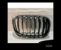 BMW X3 G01 / X4 G02 Griglia / Destra - 14602