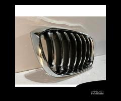 BMW X3 G01 / X4 G02 Griglia / Destra - 14602