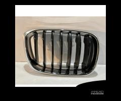 BMW X3 G01 / X4 G02 Griglia / Destra- 14600