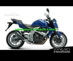 Terminale di scarico termignoni kawasaki z 750