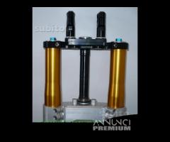 Avantreno speciale forcelle ohlins guzzi griso - 7