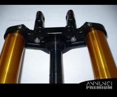 Avantreno speciale forcelle ohlins guzzi griso - 8