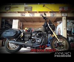 Forcelle ohlins per harley davidson low rider - 1