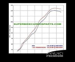 Benelli TNT 899 - terminale termignoni titanio