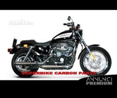 Harley davidson sportster silenziatori termignoni