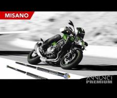 Kawasaki z900 z 900 cartucce forcelle andreani