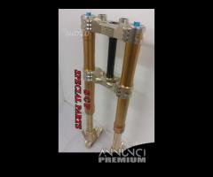 Ducati hypermotard avantreno con forcelle ohlins