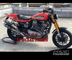 Forcelle speciali harley davidson xr 1200