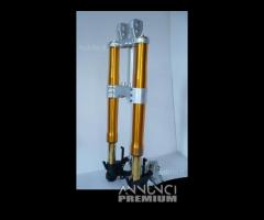 Triumph avantreno speciale forcelle ohlins nix 30 - 10