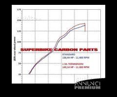 Yamaha FZ 1 2011 - 16 terminale scarico termignoni