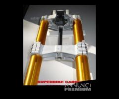 Avantreno speciale forcelle ohlins bmw f 800 r s - 8