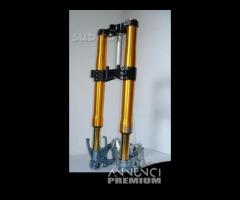 Avantreno special forcelle ohlins nix 30 per buell - 8