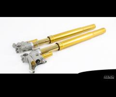 Ohlins forcelle superbike pressurizzate fgr