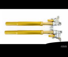 Ohlins forcelle superbike pressurizzate fgr