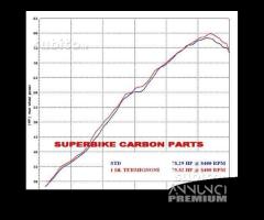 Terminale di scarico termignoni bmw f 650 / 800 gs