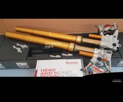 YAMAHA FORCELLE OHLINS SPECIALI PINZE BREMBO GP4RX