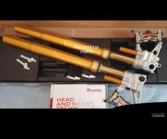 YAMAHA FORCELLE OHLINS SPECIALI PINZE BREMBO GP4RX