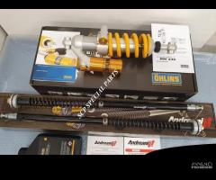 Bmw r nine t ohlins mono cartucce andreani misano