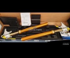 Ducati forcelle ohlins 1098 1198 streetfighter