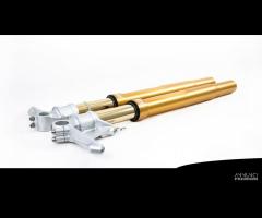 Bmw r nine t 17 20 forcelle ohlins nix 30 complete