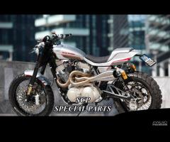 Harley sportster avantreno forcelle ohlins brembo