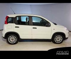 FIAT PANDA 1.0 FireFly 70cv S/S Hybrid 5 PORTE - 1