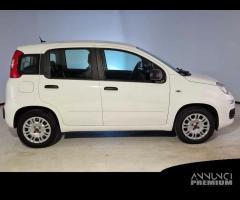 FIAT PANDA 1.2 69cv S/S E6d-Temp Easy 5 PORTE