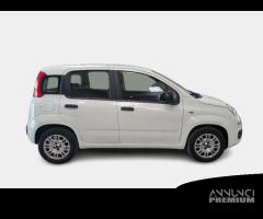 FIAT PANDA 1.2 69cv S/S E6d-Temp Easy 5 PORTE