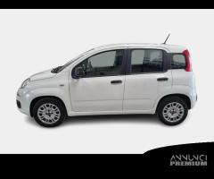 FIAT PANDA 1.2 69cv S/S E6d-Temp Easy 5 PORTE