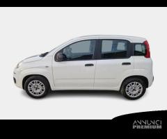 FIAT PANDA 1.2 69cv S/S E6d-Temp Easy 5 PORTE