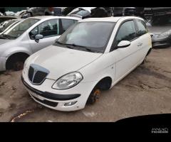 RICAMBI LANCIA YPSILON (TE)