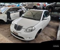 RICAMBI LANCIA YPSILON (TE)