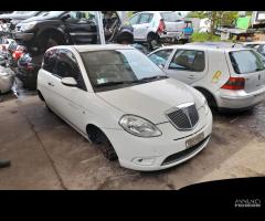 RICAMBI LANCIA YPSILON (TE)