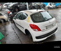 RICAMBI PEUGEOT 207 - 7